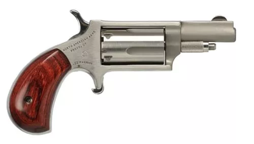 22MAG MINI REV 1-5/8" SS | NAA-22MSTD