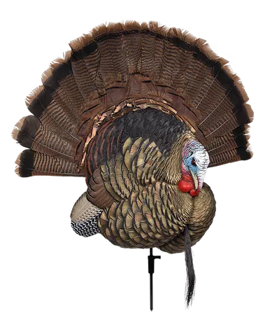 Avian-X Trophy Tom Turkey Decoy Multi-Color