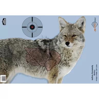 Birchwood Casey Pregame Targets 16.5x24 Inch 3-Pack