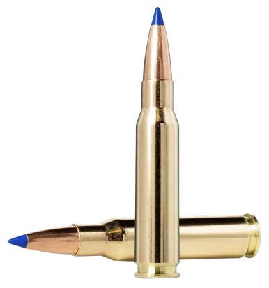 Norma BondStrike 308 Winchester Ammo 180 Grain Bonded Polymer Tip Box of 20