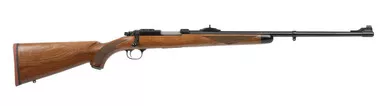 Ruger 77/22 Bolt Action Rifle