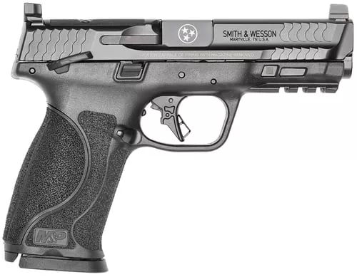 S&W MP2 9MM 4.25 17 FS NTS TN